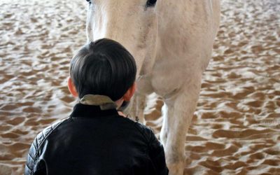 Curación con caballos